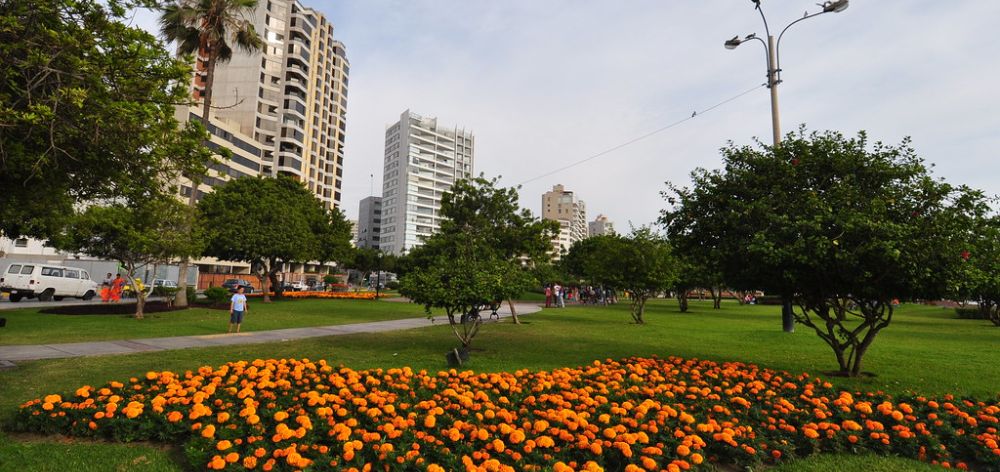 8 principales beneficios de comprar un departamento cerca de un parque en Miraflores