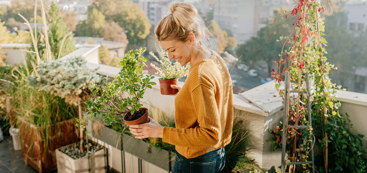 10 plantas que debes tener en la terraza de tu departamento